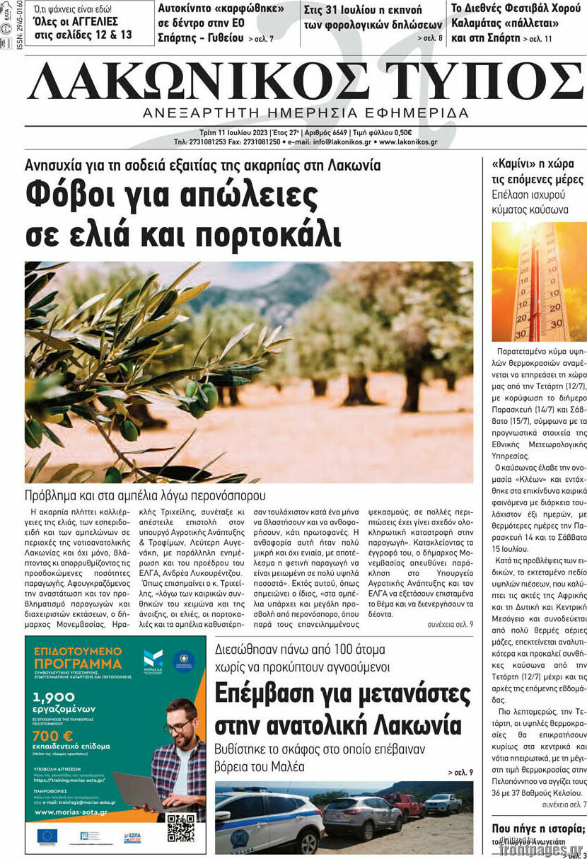 Λακωνικός Τύπος