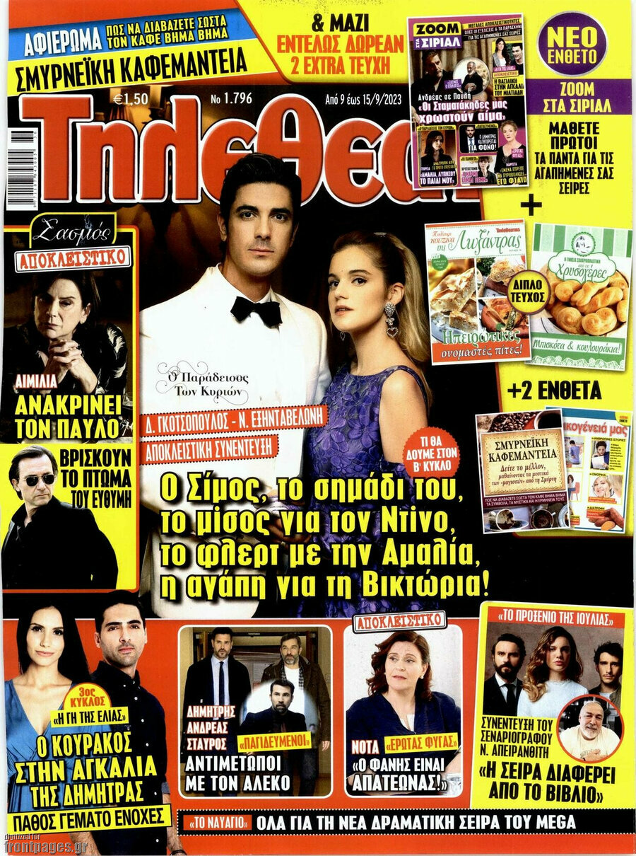 Τηλεθεατής TV