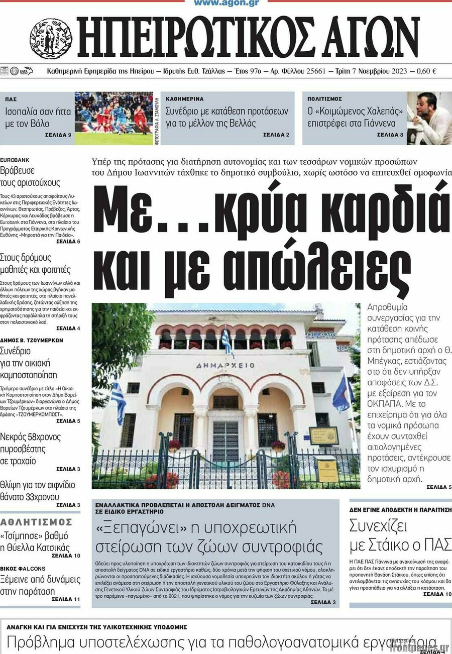 Ηπειρωτικός Αγών