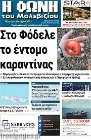 /Φωνή του Μαλεβιζίου