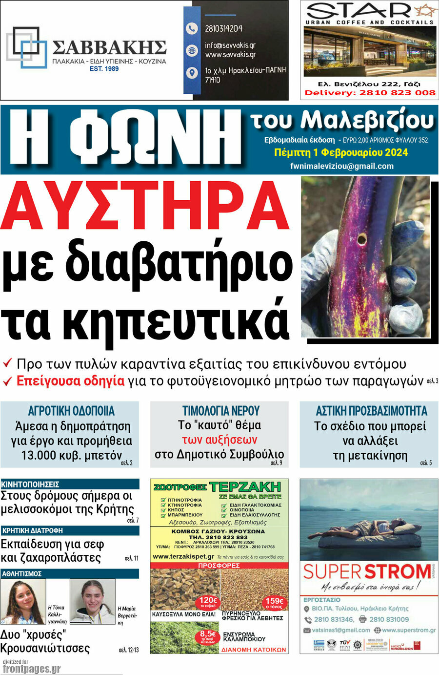 Φωνή του Μαλεβιζίου