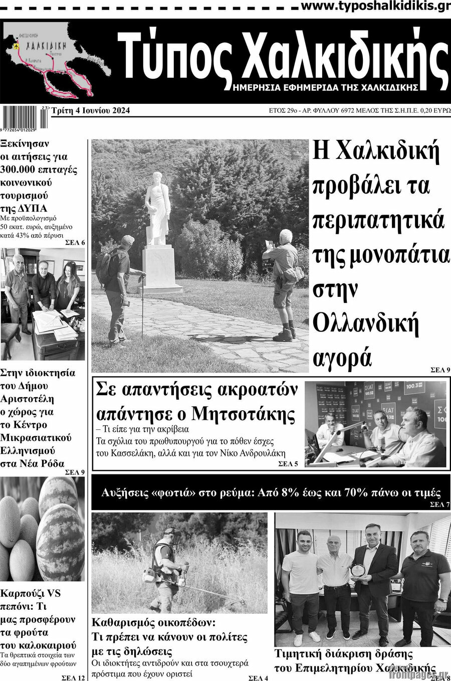 Τύπος Χαλκιδικής