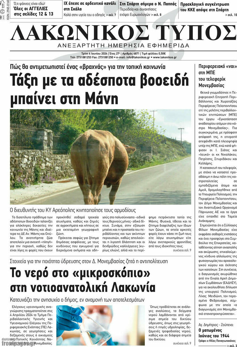 Λακωνικός Τύπος