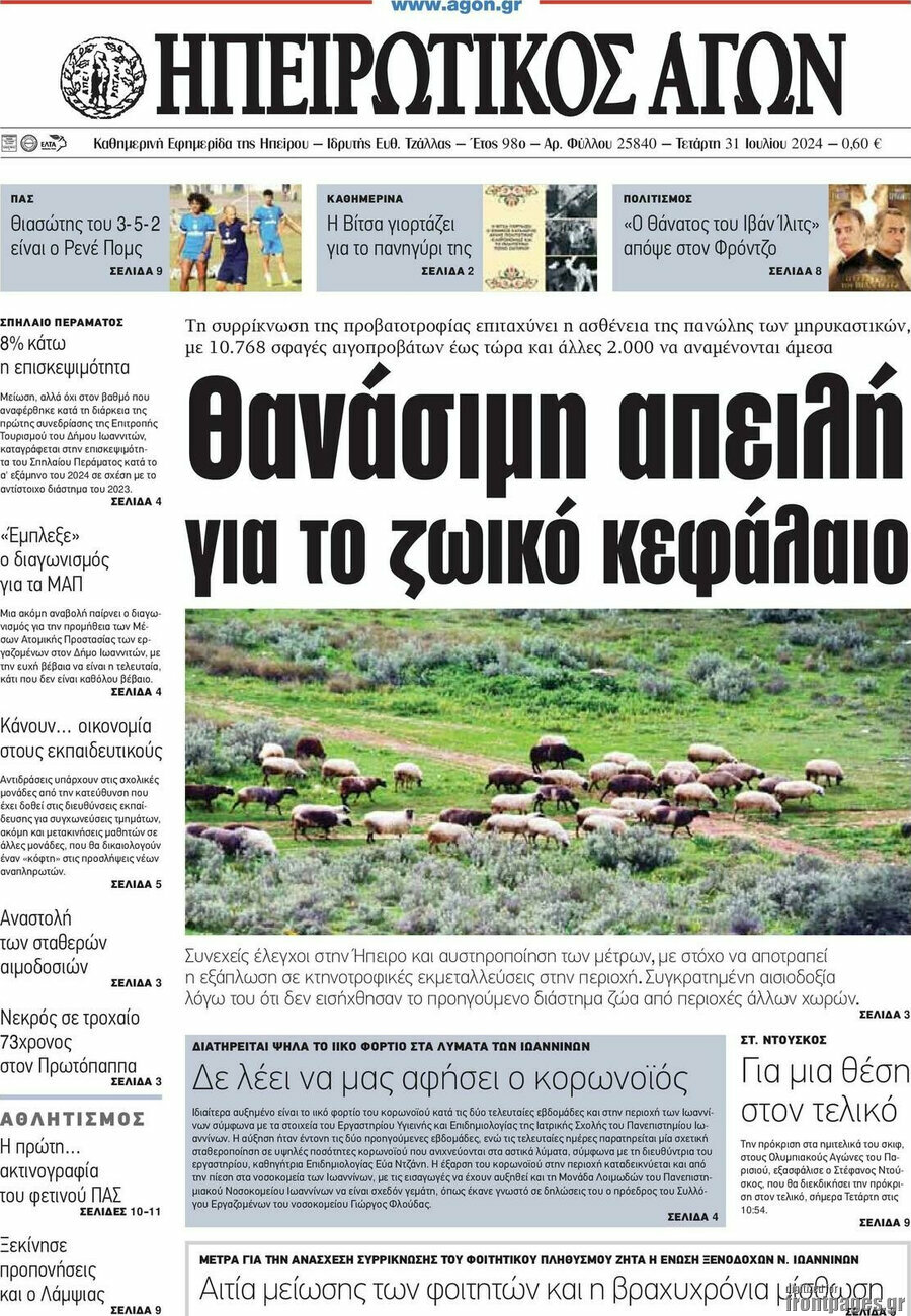 Ηπειρωτικός Αγών