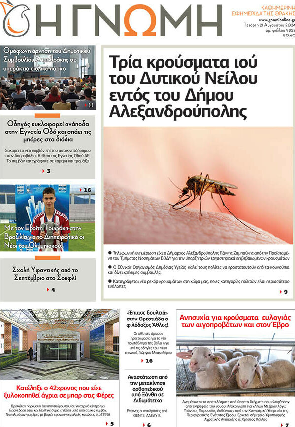 Η Γνώμη