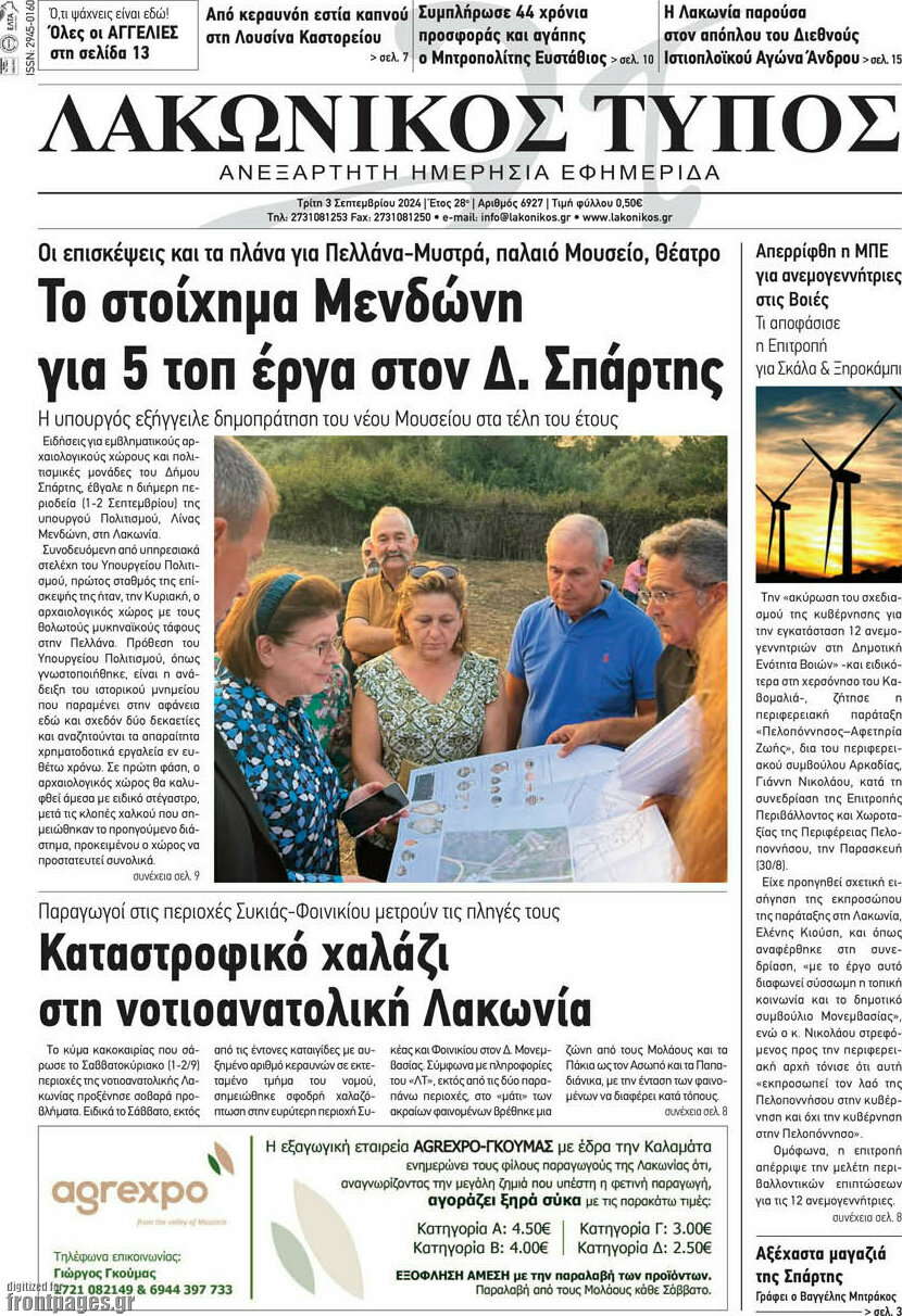 Λακωνικός Τύπος