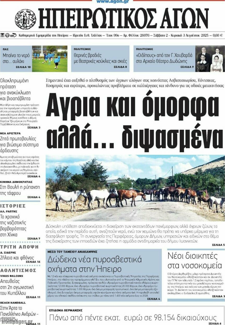 Ηπειρωτικός Αγών