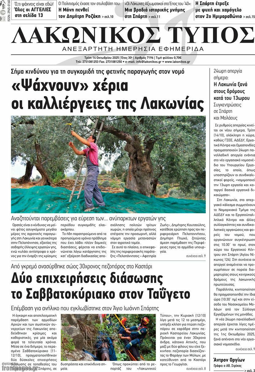 Λακωνικός Τύπος