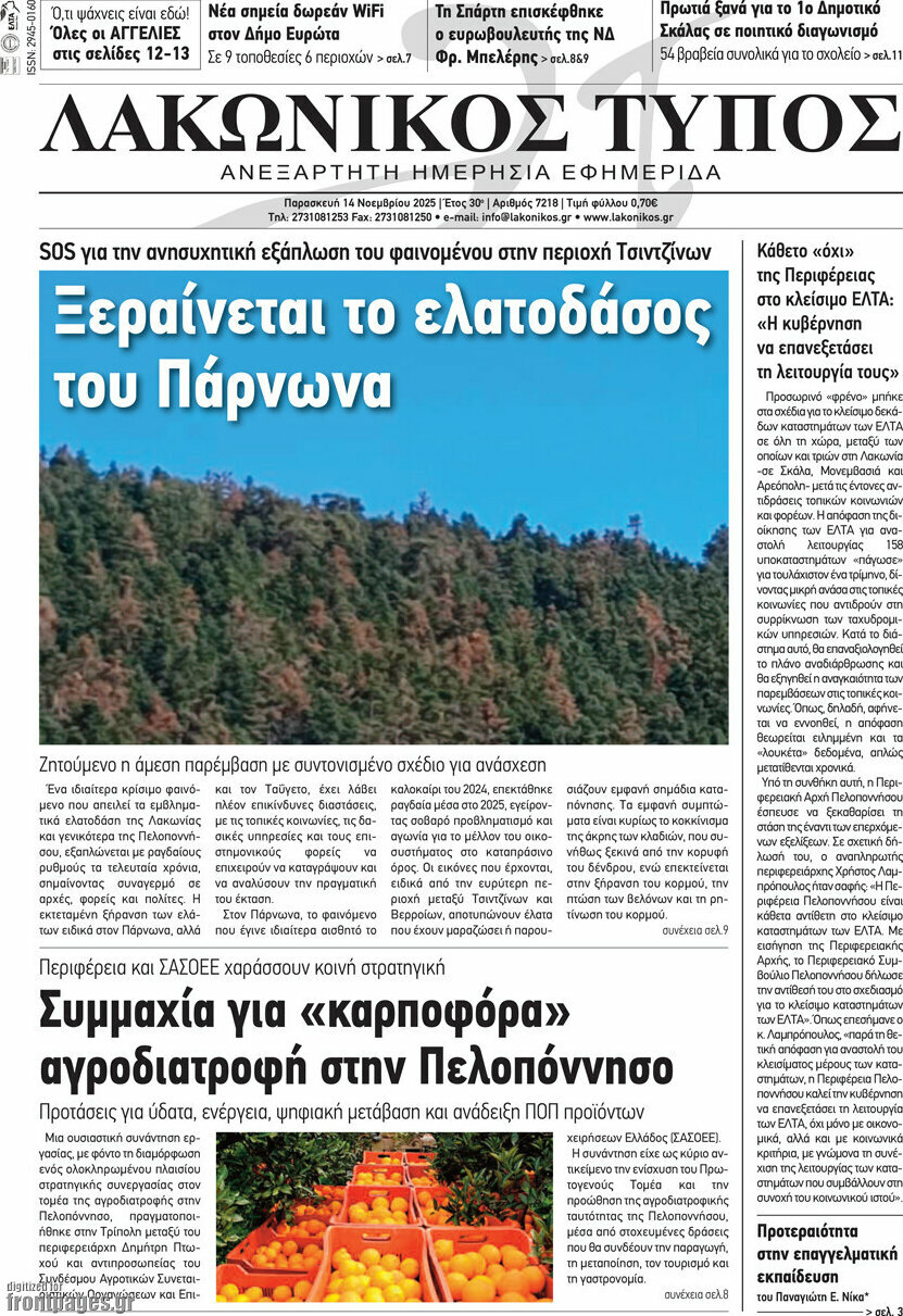 Λακωνικός Τύπος