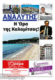 /Αναλυτής
